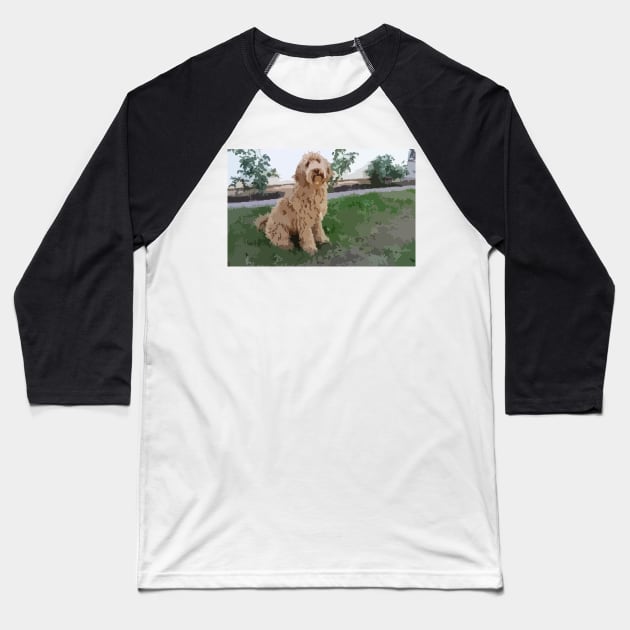 Labradoodle Digital Painting Baseball T-Shirt by gktb